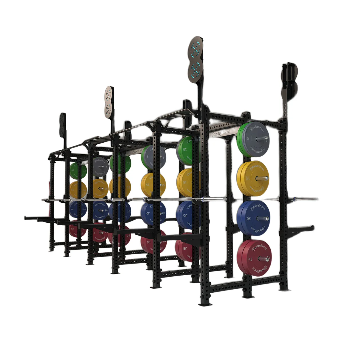 Pulse Fitness UK Functional Training Rig, 002, view 2