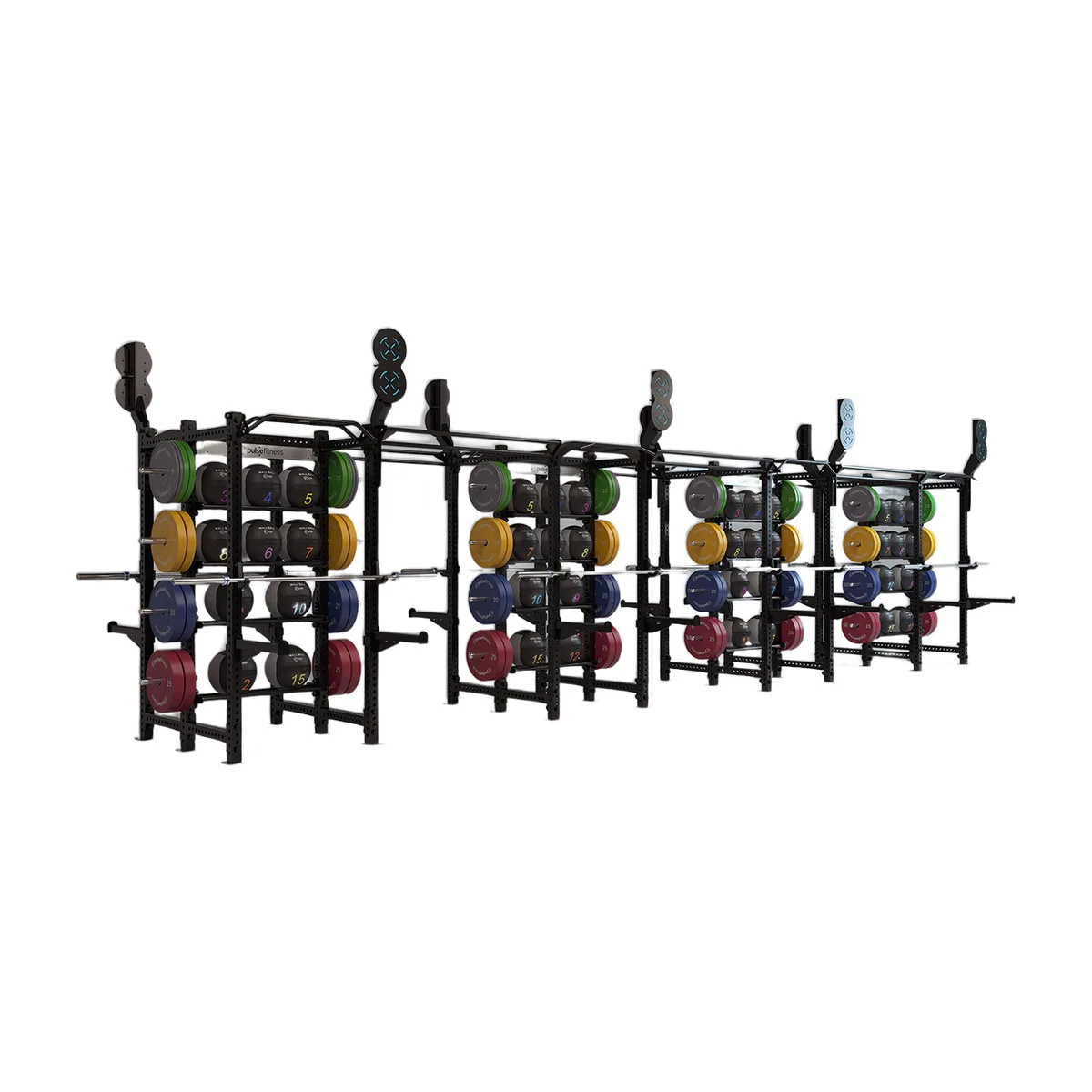 Pulse Fitness UK Functional Training Rig, 016