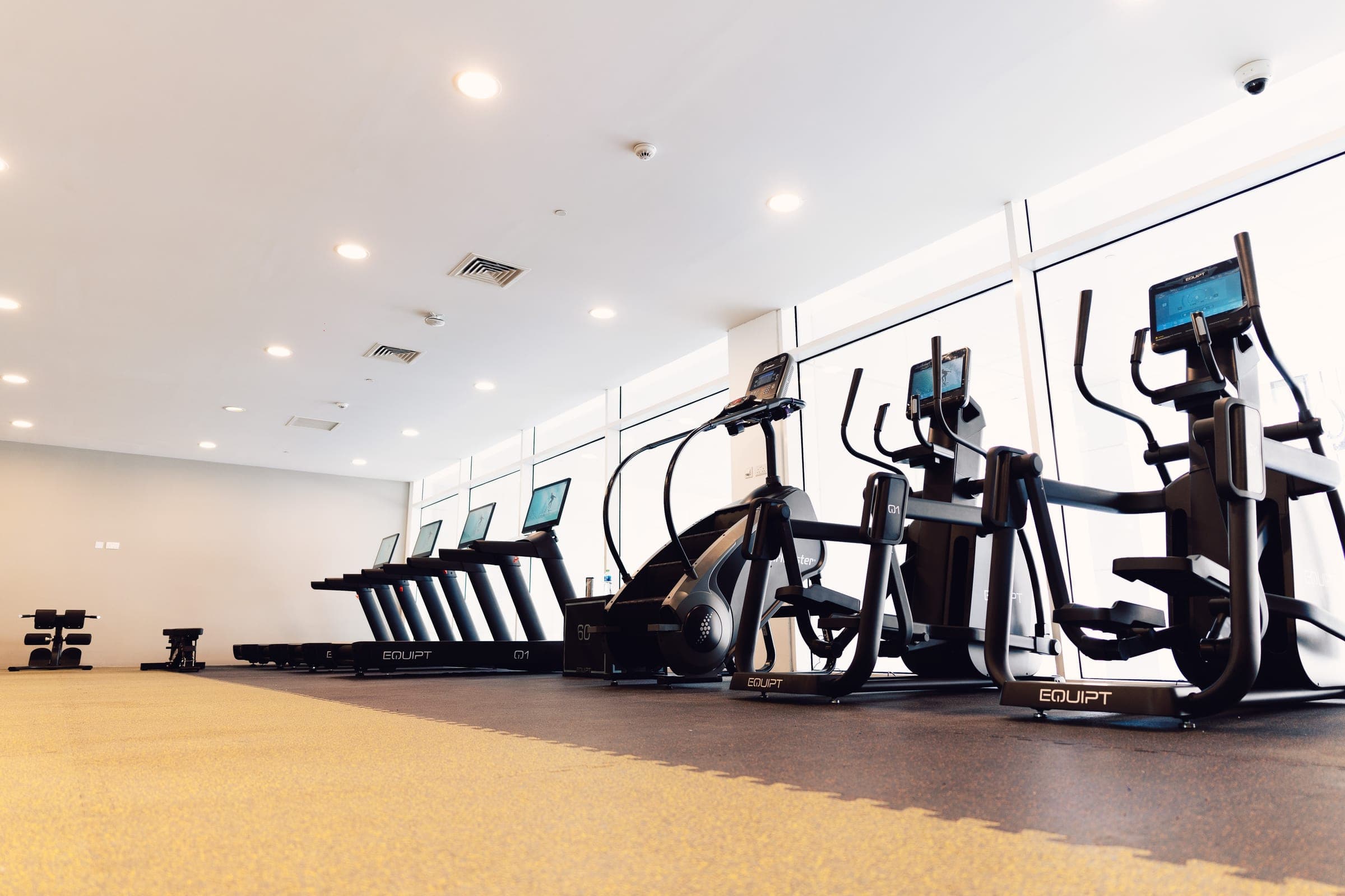 C View. The glass-wall cardio line.