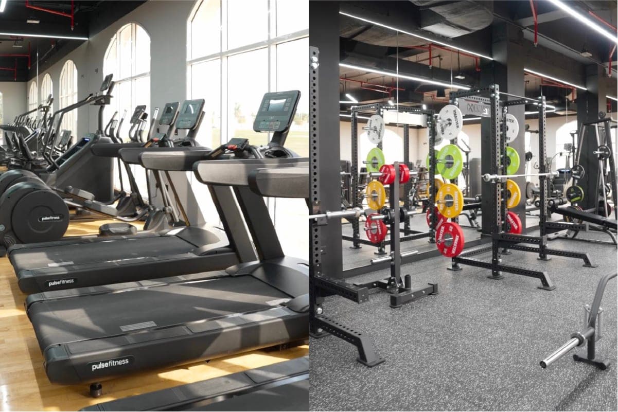 The plant facility.. Pulse Fitness UK + Xmaster
